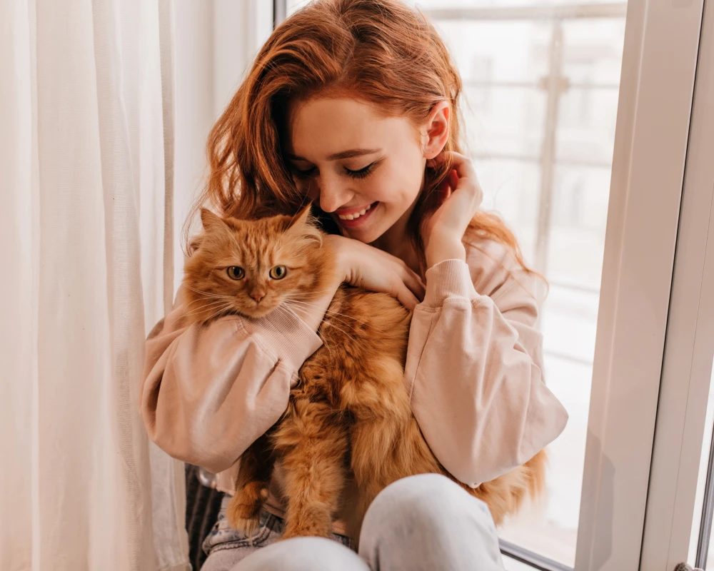 cat automatic pet feeder