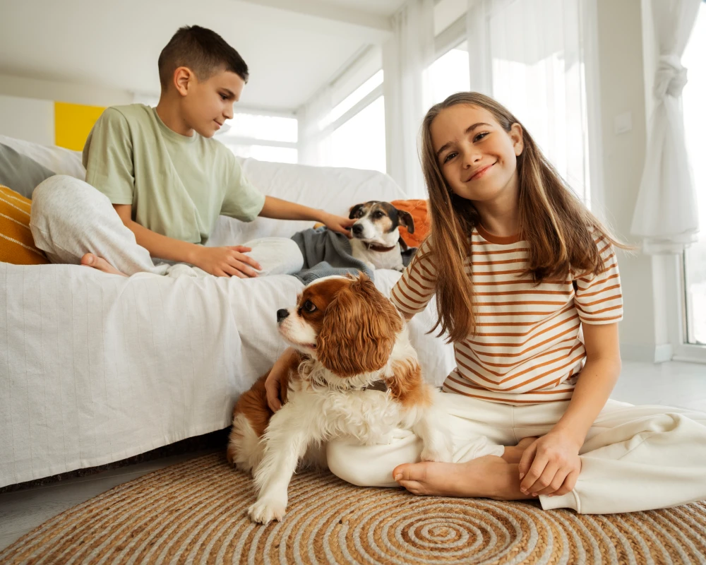 automatic electronic pet feeder